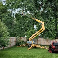 Lawn Watering Services in Marion Oaks, FL